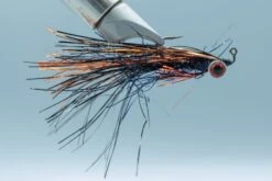 F&G BCR #4(2022 Fm F G Bcr 4)