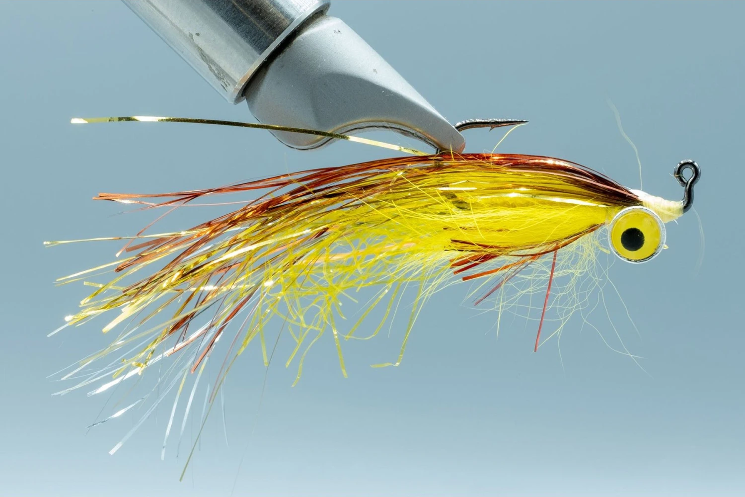 F&G Yellow Belly #4(2022 Fm F G Yellow Belly 4) 3 F&G Yellow Belly #4(2022 Fm F G Yellow Belly 4)