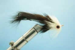 Bald Eagle #4(2022 Fm Bald Eagle 4)