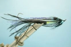 Intruder Black/Blue #2(2022 Fm Intruder Black Blue 2)