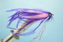 Intruder Purple/Pink #2(2022 Fm Intruder Purple Pink 2)