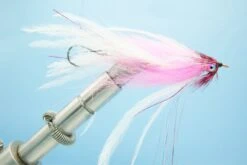 Intruder White/Pink #2(2022 Fm Intruder White Pink 2)