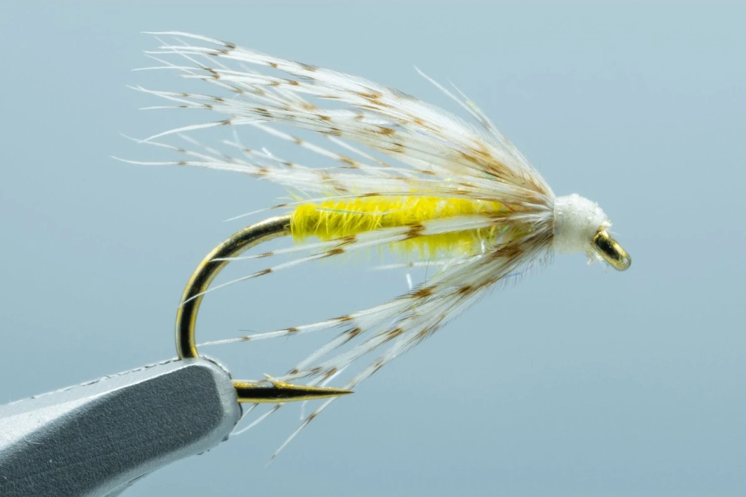 Sparkle Soft Hackle Yellow #14(2023 Fm Sparkle Soft Hackle Yellow 14) 3 Sparkle Soft Hackle Yellow #14(2023 Fm Sparkle Soft Hackle Yellow 14)