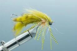 Extrovert Olive #4(2023 Rio Rios Extrovert Olive 4)