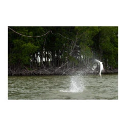 R.L. Winston Air 2 MAX Fly Rod(2023 Rl Winston Air 2 Max Fly Rod) -Mrfc 2023 RL Winston Air 2 MAX Fly Rod Lifestlye 5