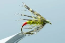 Hot Butt Soft Hackle Olive #14(2023 Sol Hot Butt Soft Hackle Olive 14)