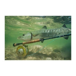 SAGE SALT R8 Fly Rod(2023 Sage Salt R8 Fly Rod) -Mrfc 2023 Sage R8 Salt Lifestyle 2