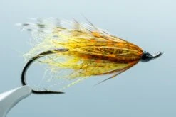 Brown Hilton Brown/Orange #6(2024 Aqua Flies Brown Hilton Brown Orange 6)