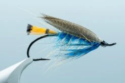 The Heisenberg Kingfisher Blue #5(2024 Aqua Flies The Heisenberg Kingfisher Blue 5)
