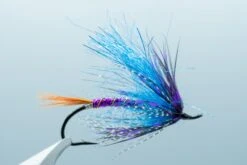 Wedeking's Jayhawker Purple #5(2024 Aqua Flies Wedekings Jayhawker Purple 5)