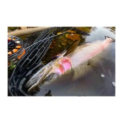 Scott Swing Fly Rod(2024 Scott Swing Fly Rd) -Mrfc 2024 Scott Swing Fly Rod 1