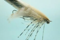 Extrovert Tan #4(2021 Rio Extrovert Tan 4)