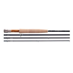 Thomas & Thomas Paradigm Fly Rod(2020 Thomas Thomas Paradigm Fly Rod)
