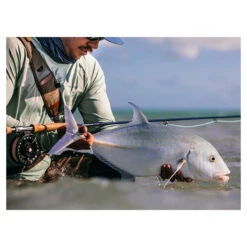 SAGE Maverick Fly Rod(2020 Sage Maverick Fly Rod) -Mrfc maverick6