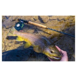 Cortland Nymph Series Rod(2020 Cortland Nymph Series Rod) -Mrfc nymph4